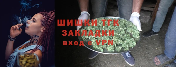 хмурый Козловка