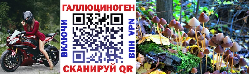 Псилоцибиновые грибы GOLDEN TEACHER  где продают   Козловка 